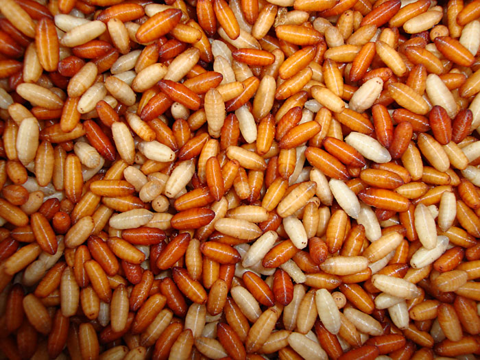 Load image into Gallery viewer, Maggots &amp; Caster
