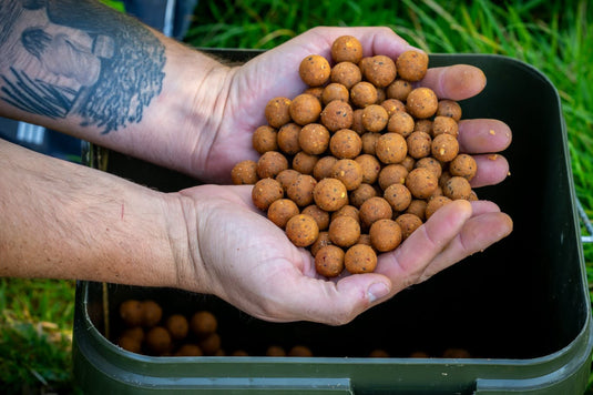 15% off Elevate Baits