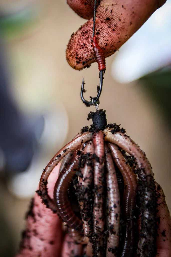 Load image into Gallery viewer, OMC Dazzlers Bloodliner - Aligner
