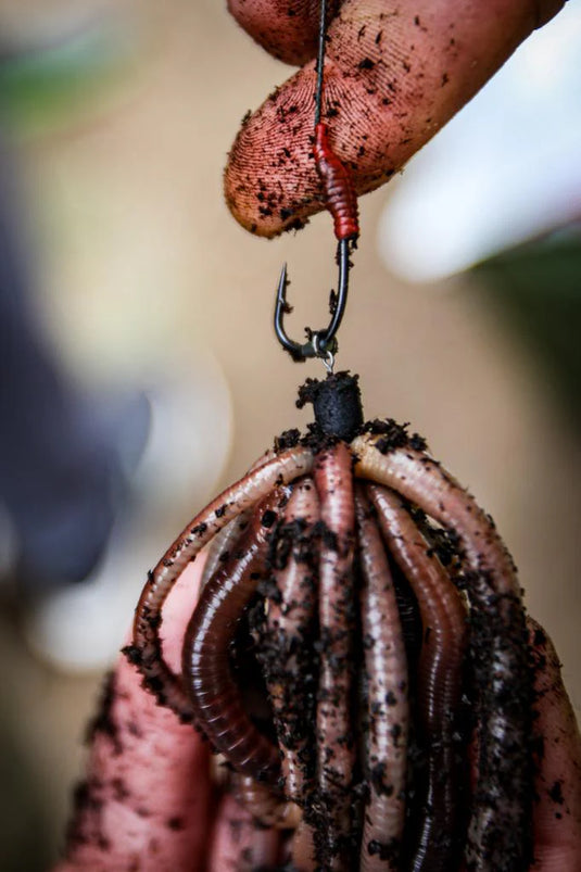 OMC Dazzlers Bloodliner - Aligner