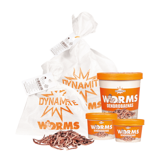 Dynamite Baits Worms & Lobworms