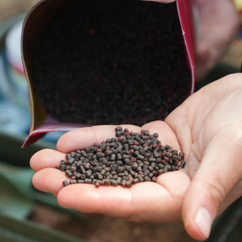 Paella Micro Pellet Mix-3