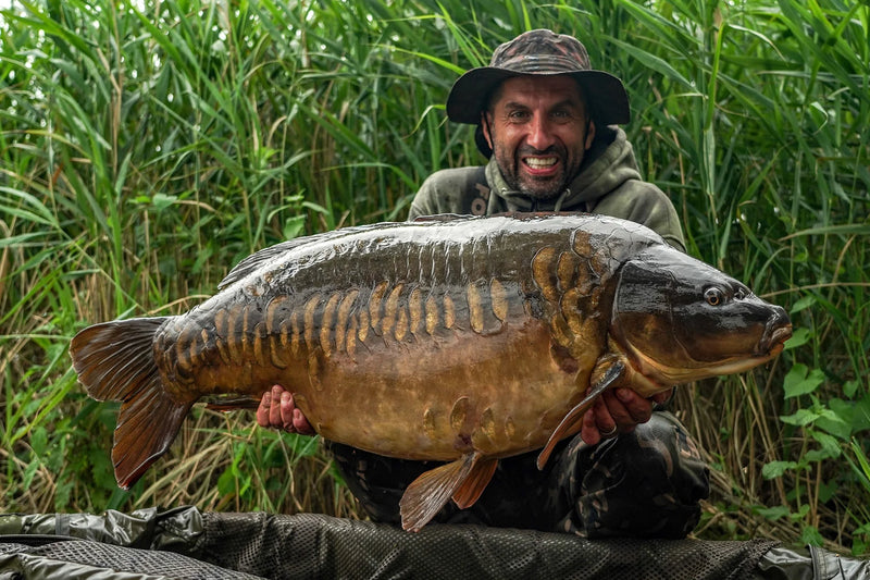 Load image into Gallery viewer, OMC The Magic Twig - Lead Clip Version
