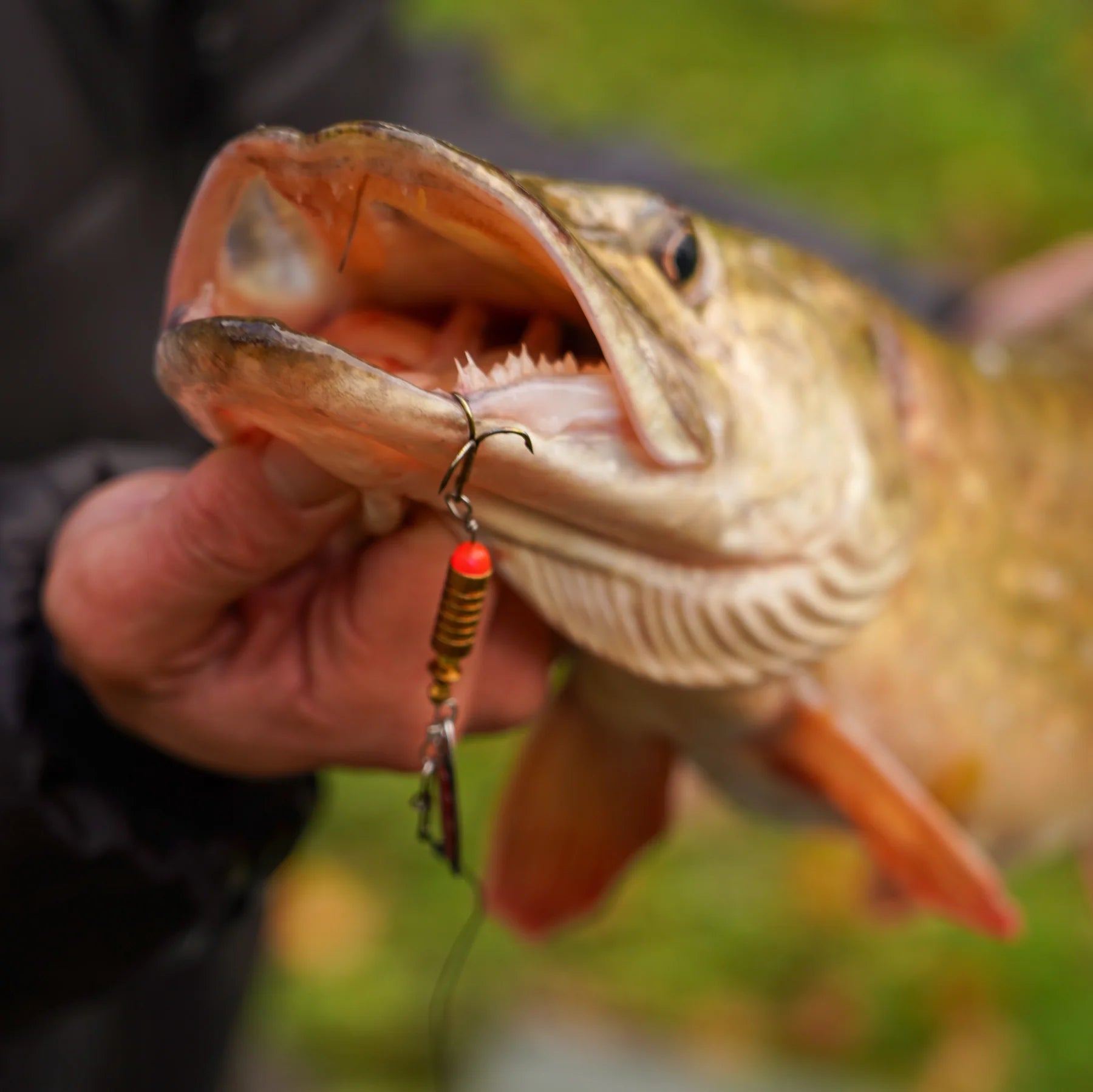 OMC FC Lure Kit-14