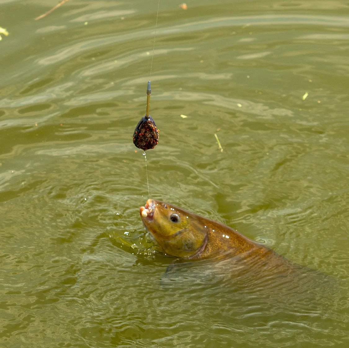 OMC FC Feeder Rod & Reel Combo-13