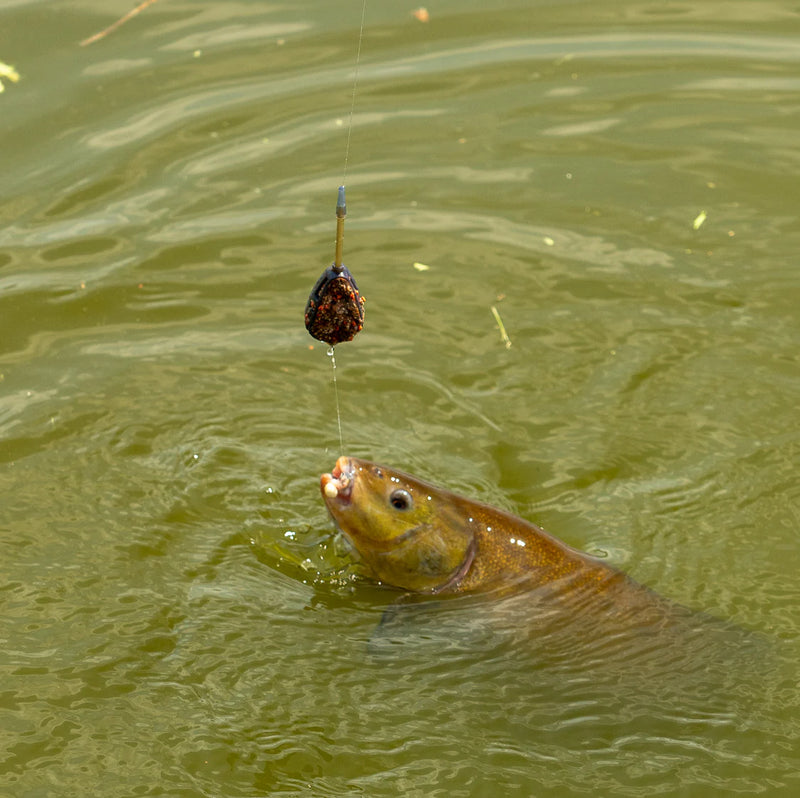 OMC FC Feeder Rod & Reel Combo-13