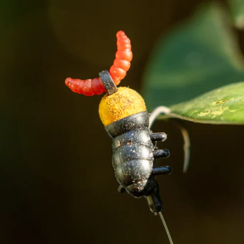 OMC Tweakers Maggot Boomerangs