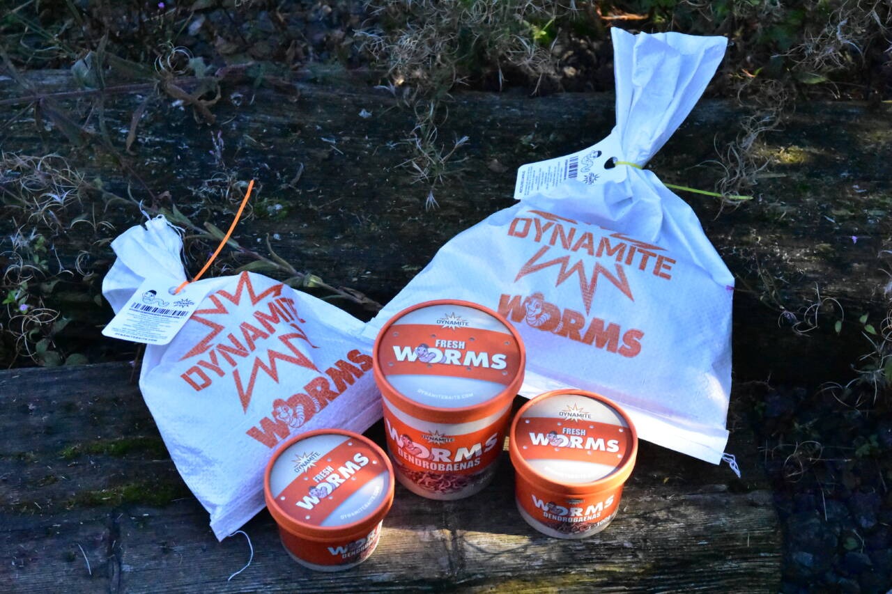 Dynamite Baits Worms & Lobworms