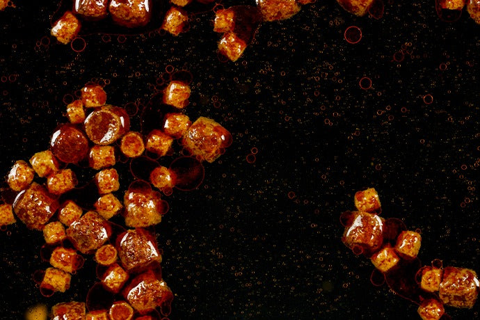 Floaters - The Krill