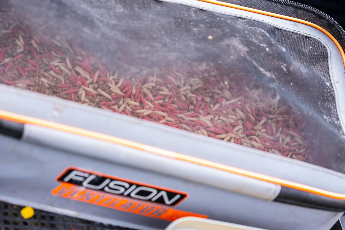 Tackle Guru - Fusion Ventilator Combo 5-4