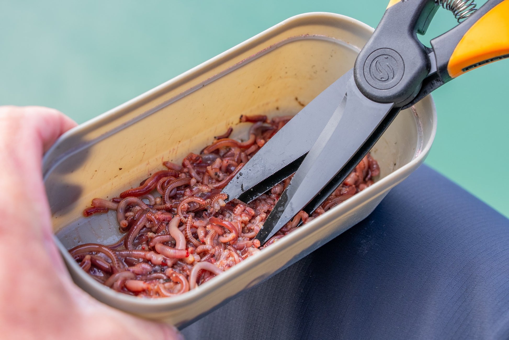 Tackle Guru - Worm Scissors-7