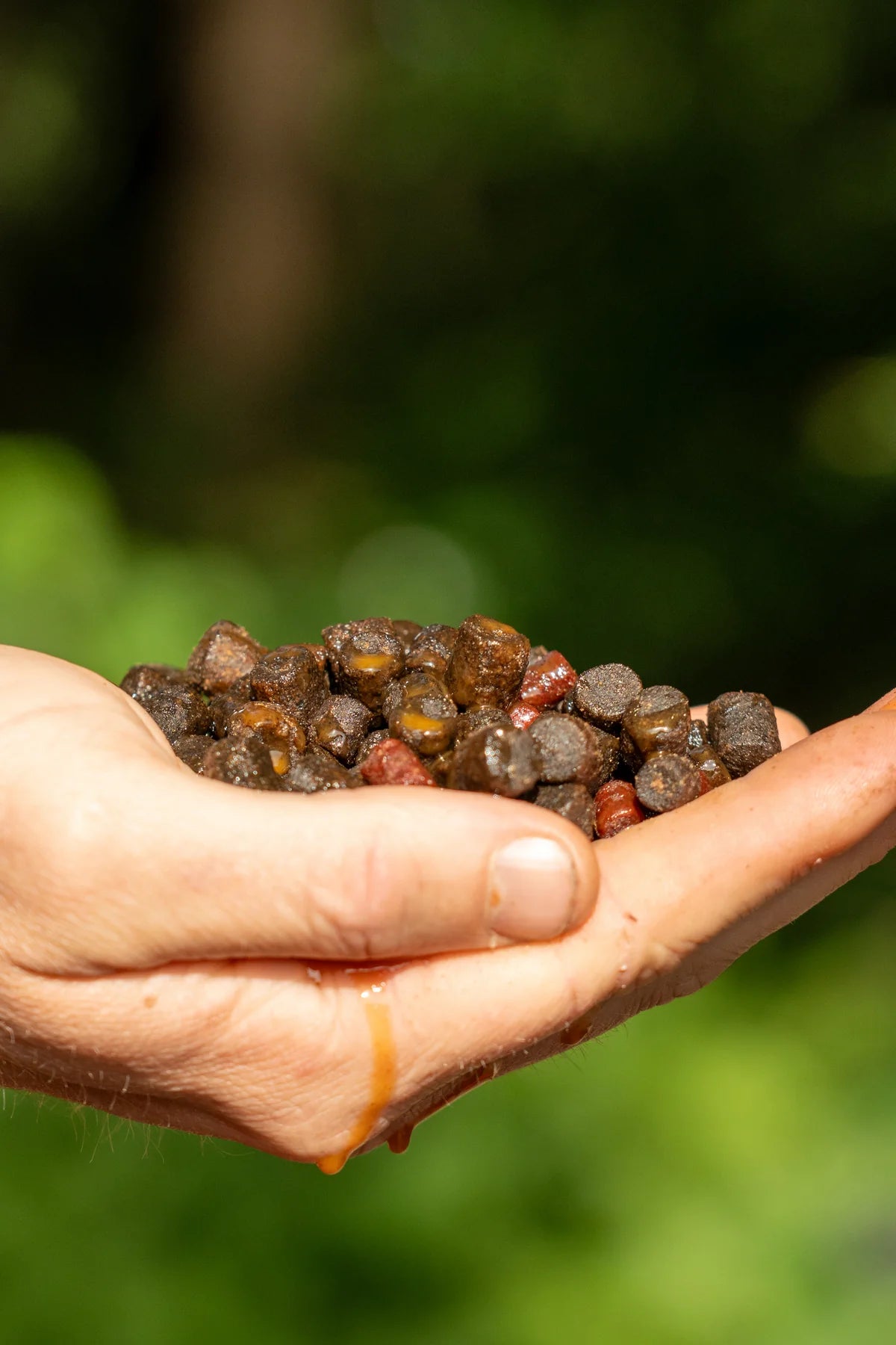 OMC Paella Pellet Mix-5