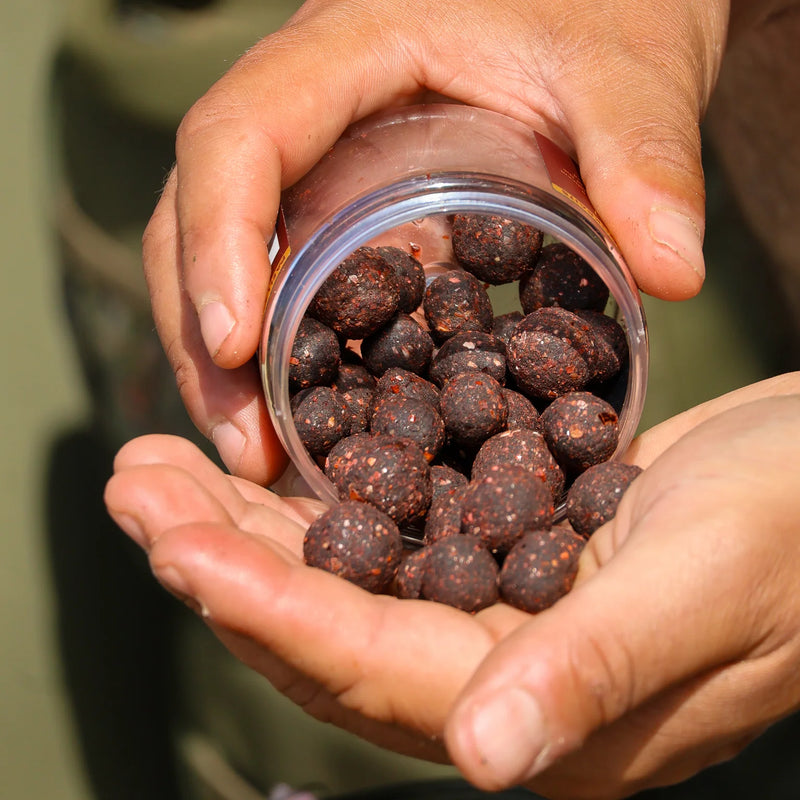 OMC Paella Boosted Cured Hookbaits-1
