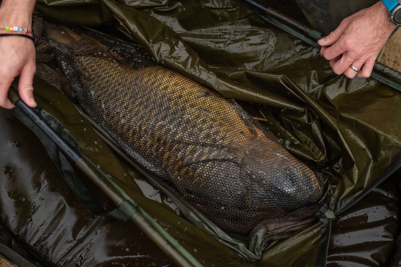 Load image into Gallery viewer, Korda - Basix Weigh Sling
