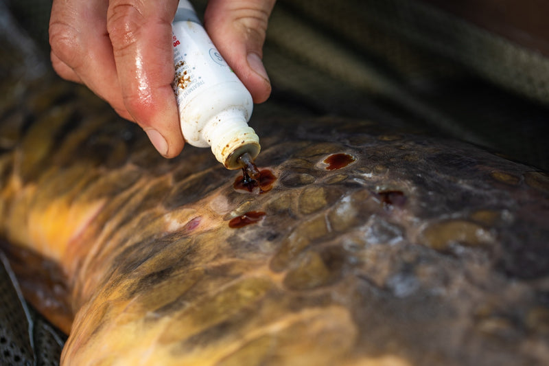 Korda - Propolis Carp Care-3