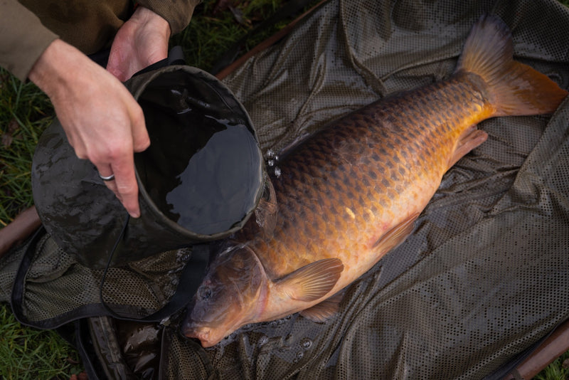 Korda - Compac Water Bucket-1