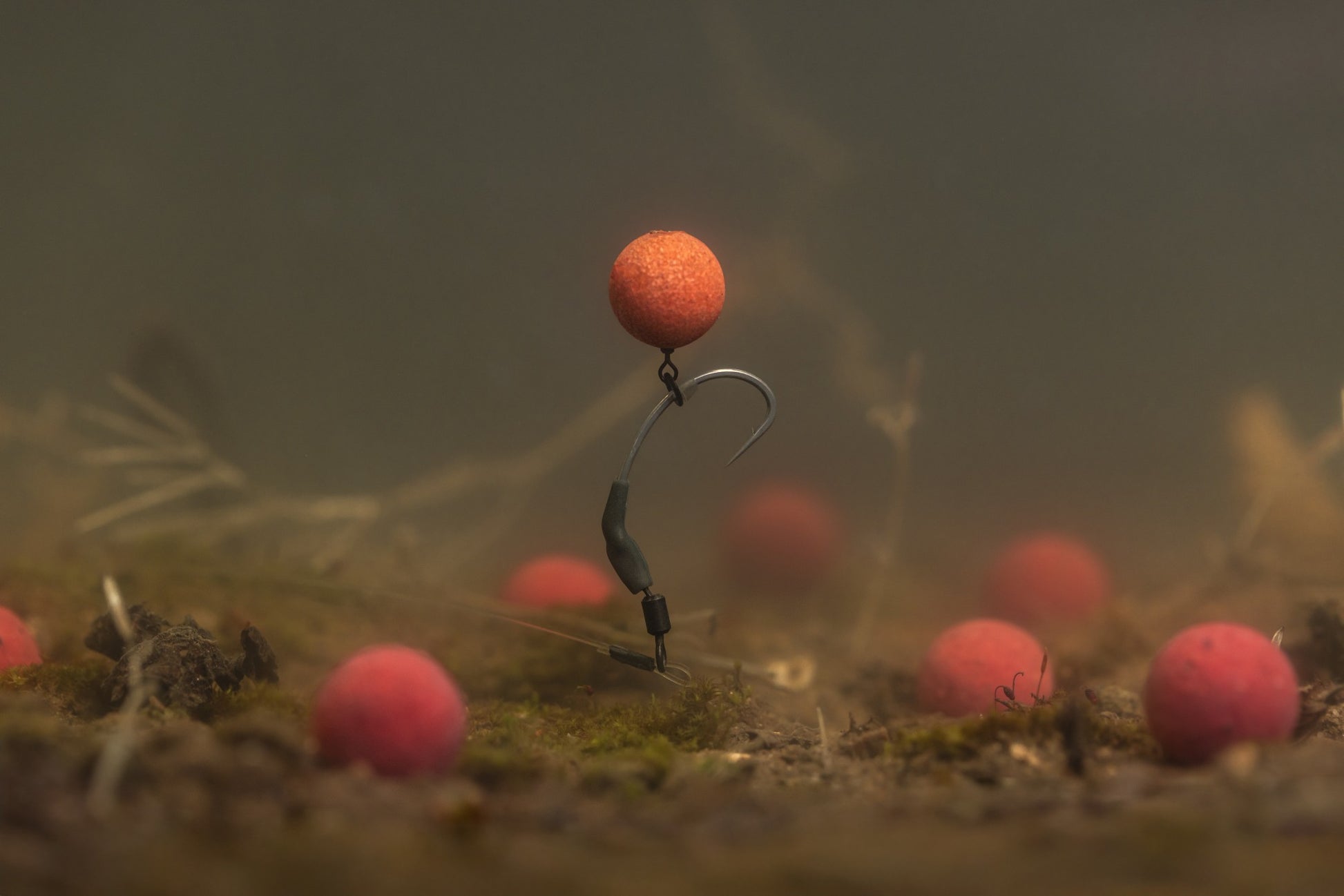 Korda - Pop Up Imitation Boilie-8