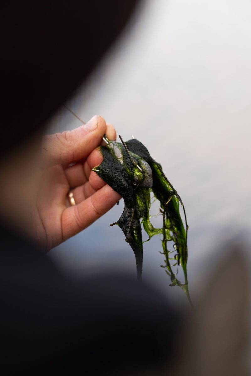 Korda - Grapple Lead-7