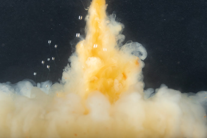Load image into Gallery viewer, Cloudy Krill Liquid
