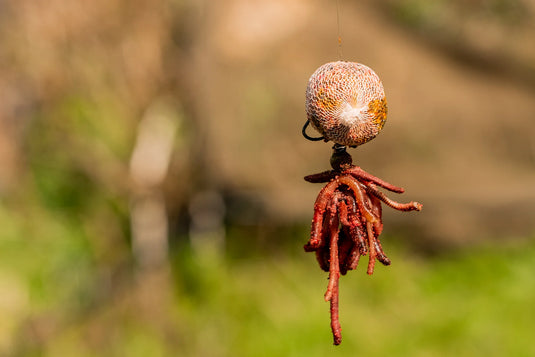 OMC Tweakers Wormurai Sprig Stop Kit