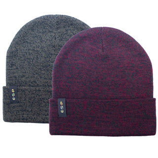 ESP Beanie Hat-1