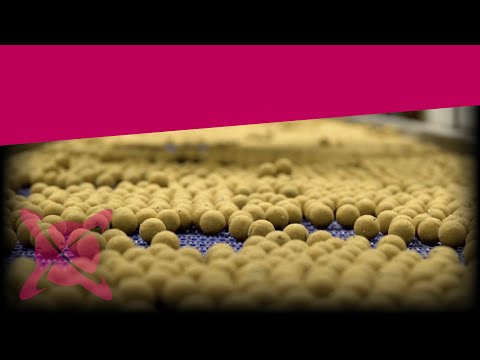 CC Moore Live System Boilies-2